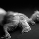 Image for article titled Shooting Challenge Freelensing Gallery 2